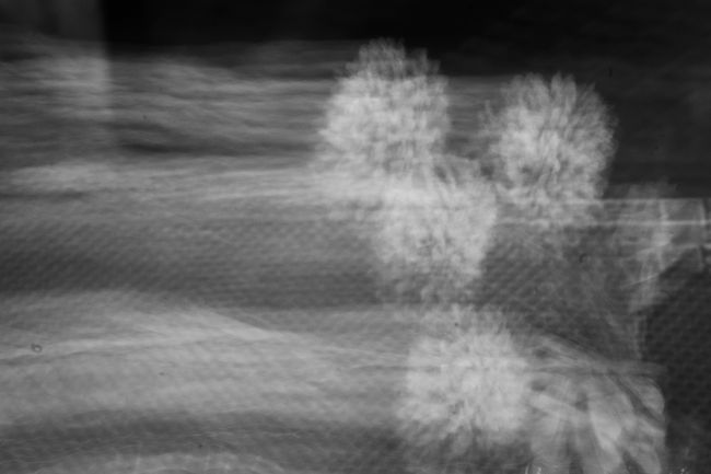 © Azadeh Besharati - Image from the I Have Forgotten the Shape of Water photography project