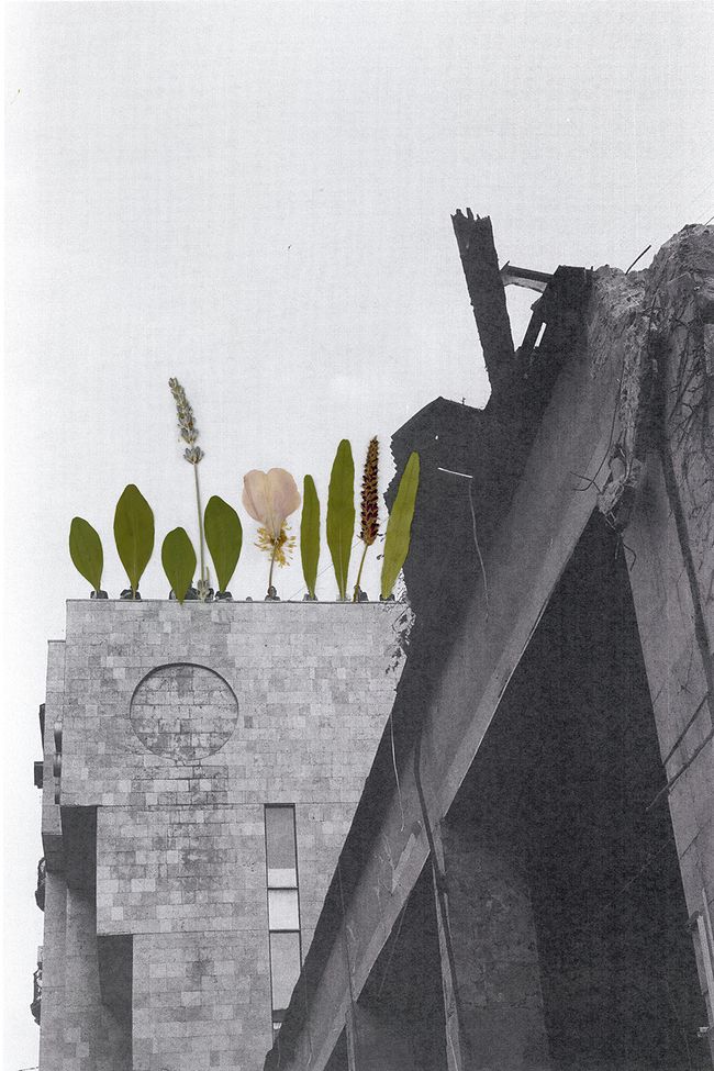 © Daria Senchikhina - Image from the Kvity Ukrainy photography project