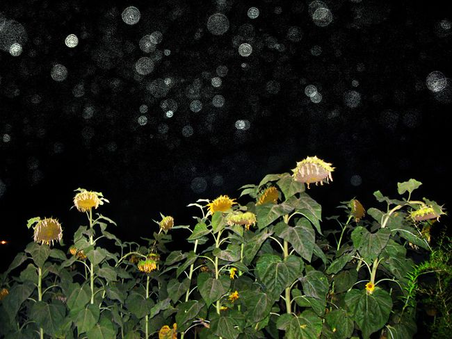 © Elissavet Sikalou - Image from the Insomnia for the chosen ones photography project
