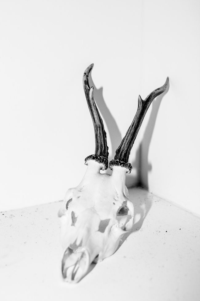 © Laia Abril