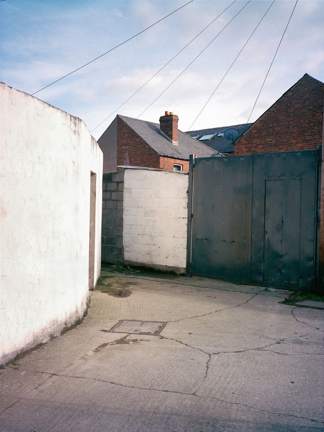 © Shane Lynam