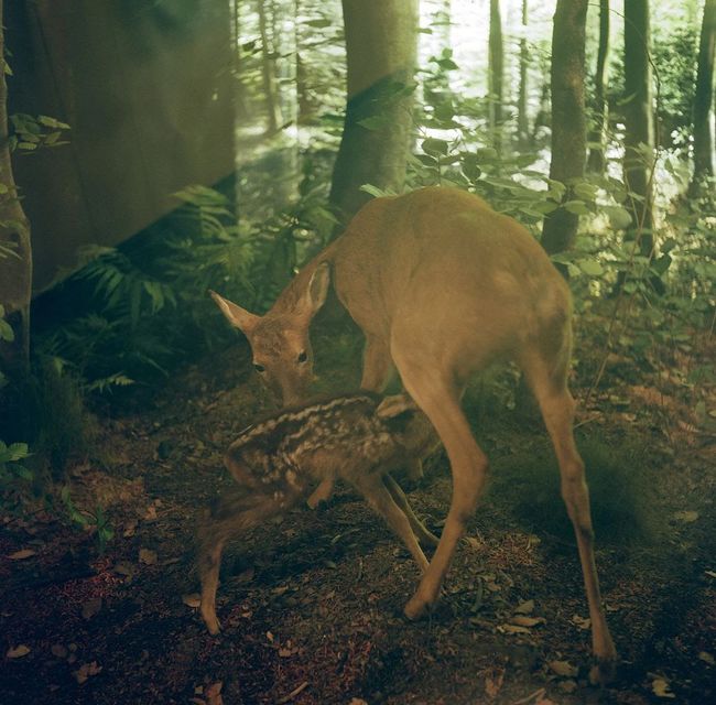 © Julia Mejnertsen