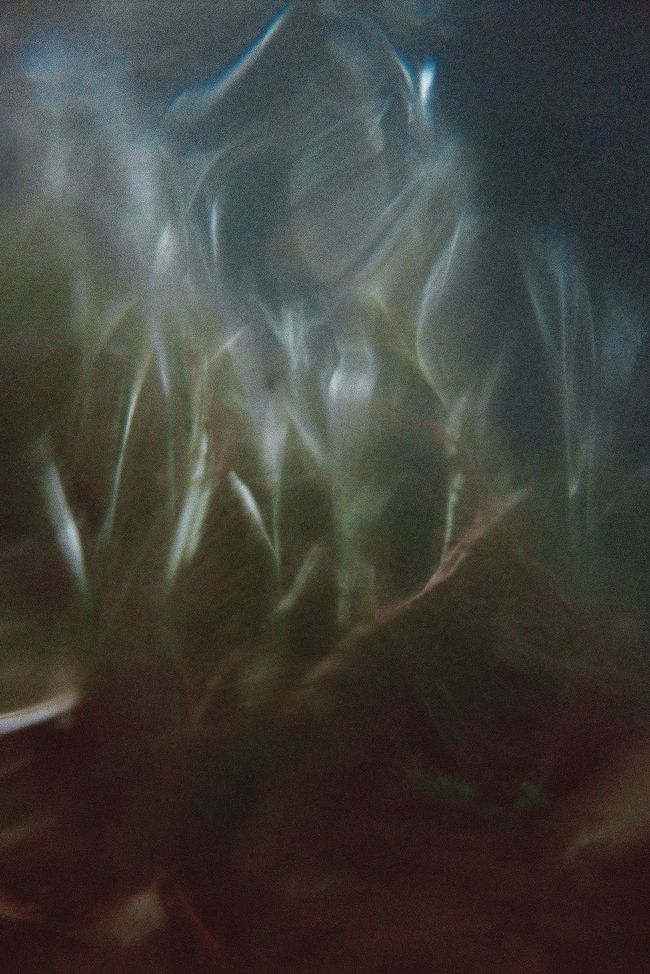 © Caroline Charrel