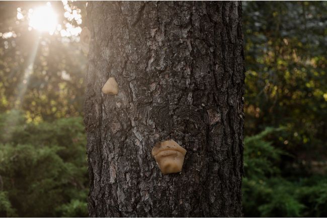 © Kristine Madjare