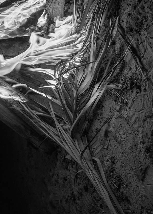 © Farah Al Qasimi