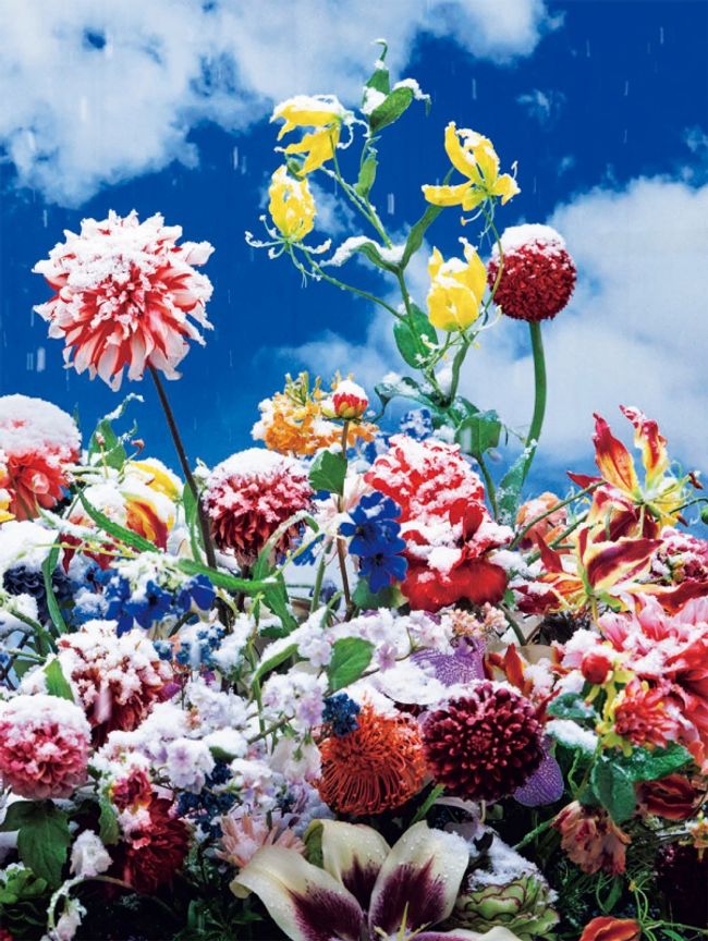 © Mika Ninagawa