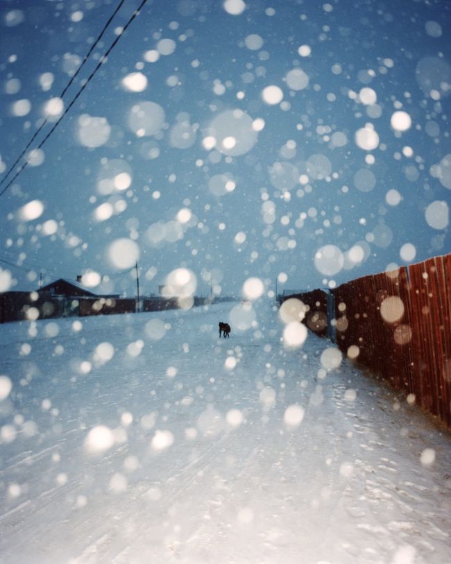 © Taemin Ha