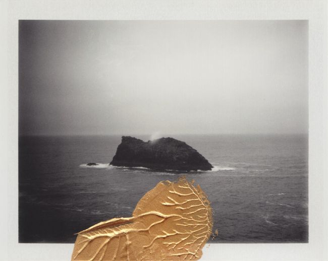 © Cyrus Mahboubian
