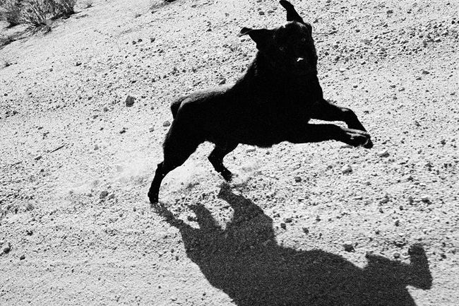 © John Divola