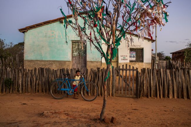 © Lianne Milton - Image from the Hinterland: Stories from the Caatinga photography project