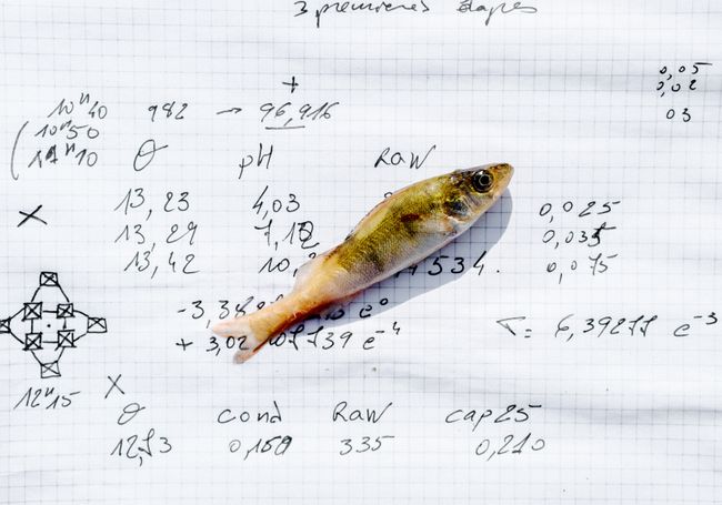 © Daniel Martínez - Image from the FUI-42 photography project