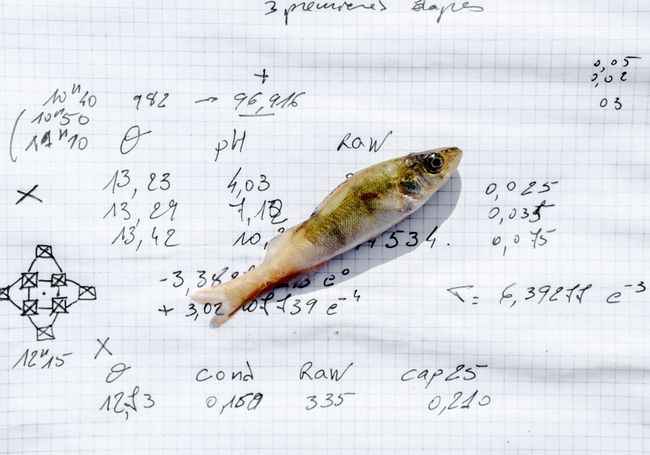 © Daniel Martínez - Image from the FUI-42 photography project