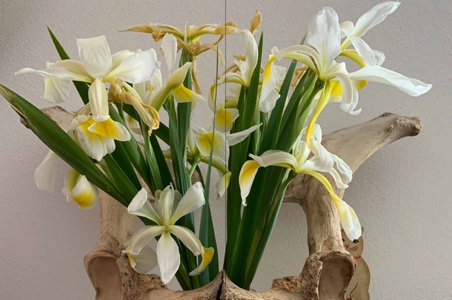 Image from a project on PhMuseum