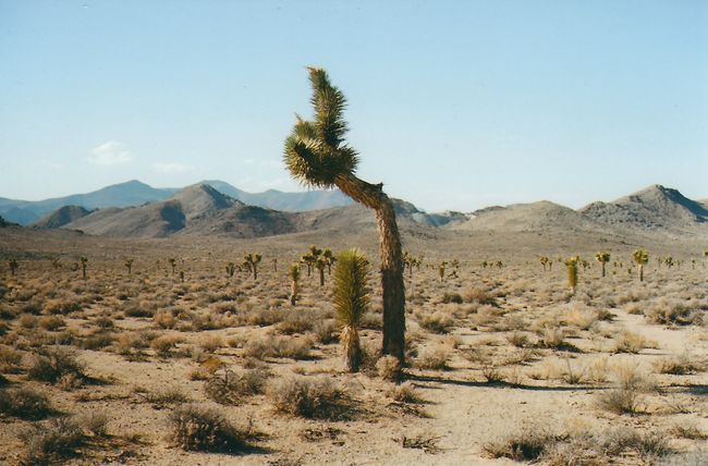 © Carlotta Guerra - Image from the The Gift photography project