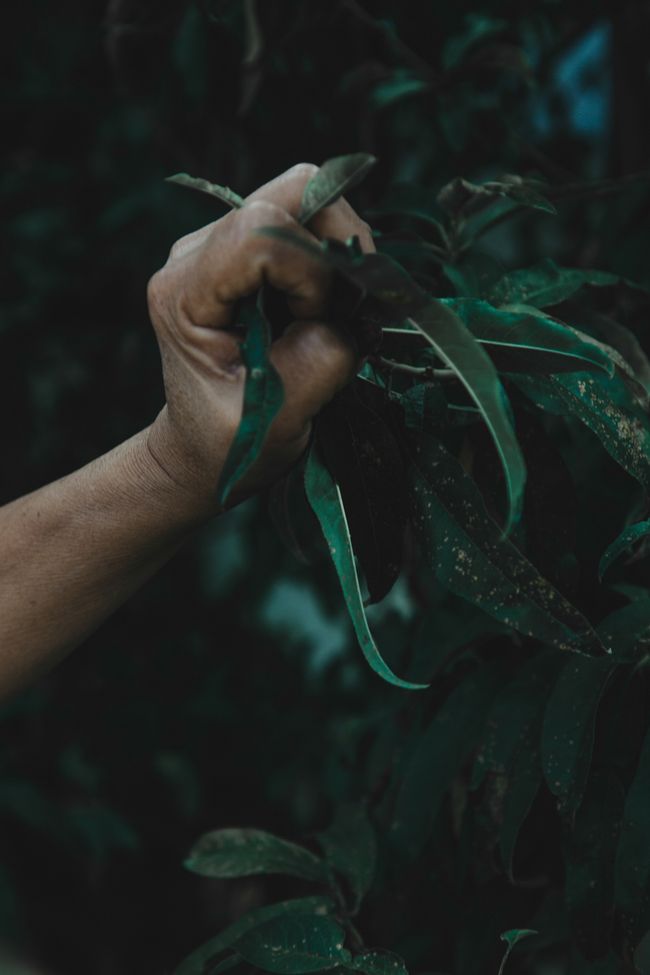 © Mariceu Erthal Garcia - Image from the Family secrets photography project