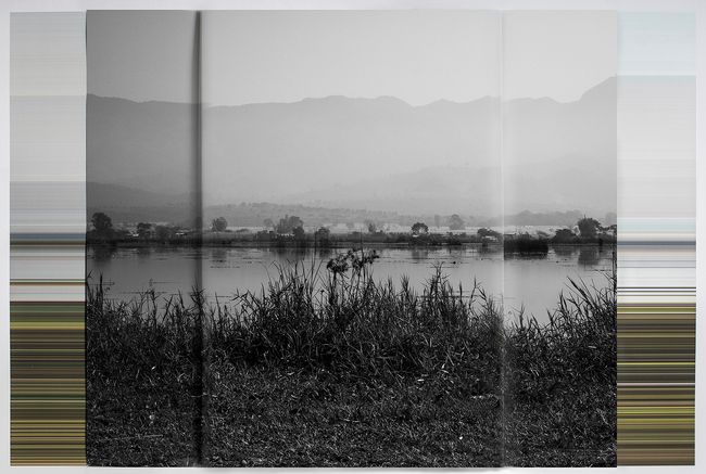 © andrea alkalay - Landscape on Landscape Cod_807917
