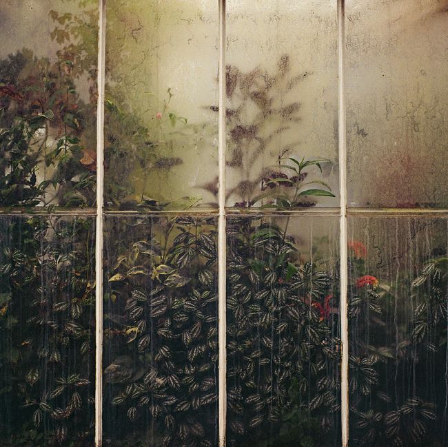 © Elisa Troschke - London, 2024 (Kew Gardens Series)