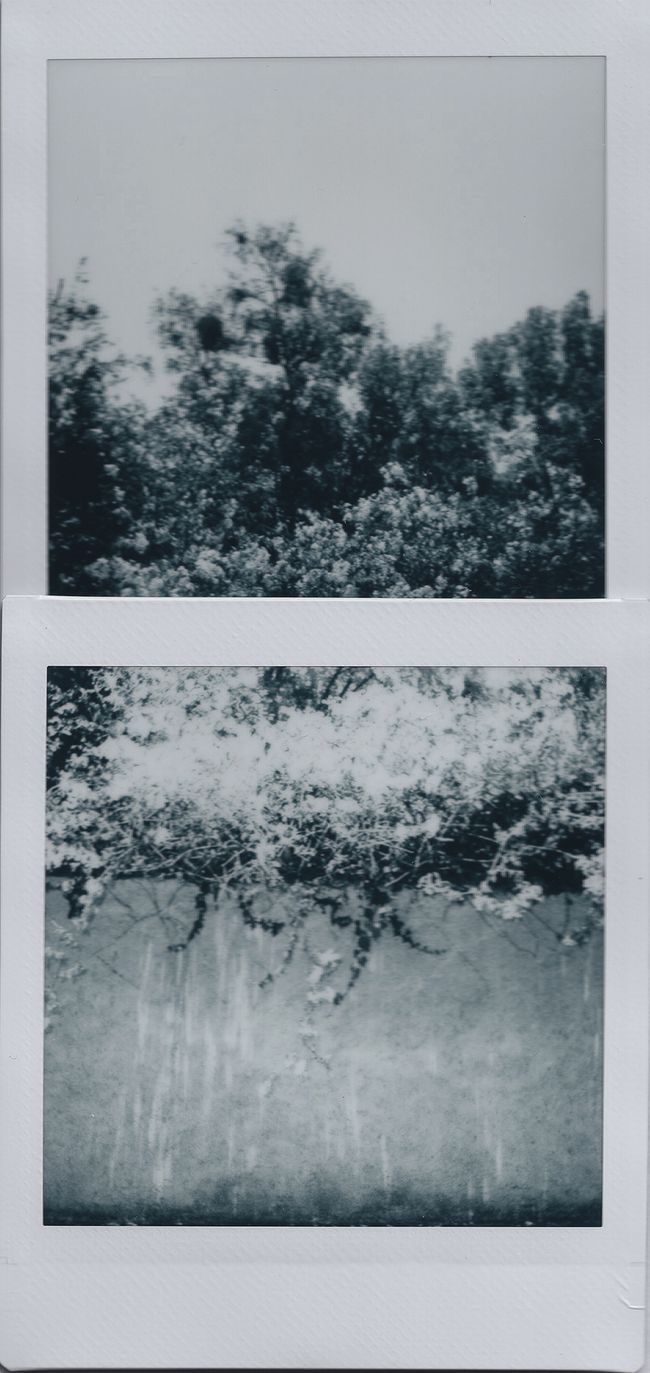© Karla Guerrero - Image from the Blanco Universo photography project