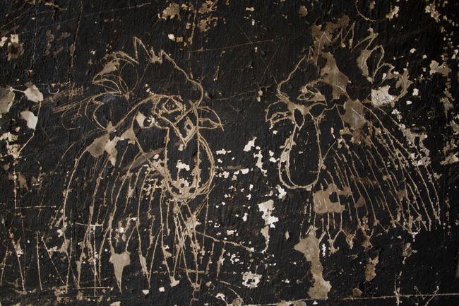 © Carlos Pozo Alban - Image from the Páramo photography project