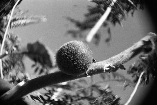 © Juliana Quesada - Image from the Escazú, a Forgotten Fantasy photography project