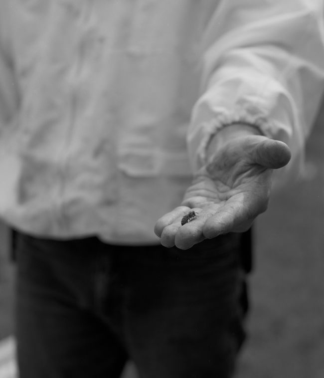 © Tori Ferenc - Saving a lost bee.