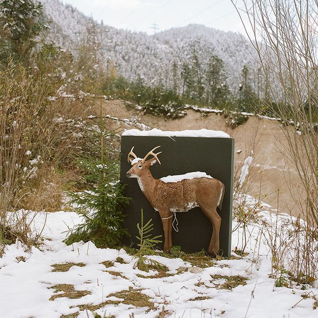 © Sofya Tatarinova - Image from the Magic forest photography project