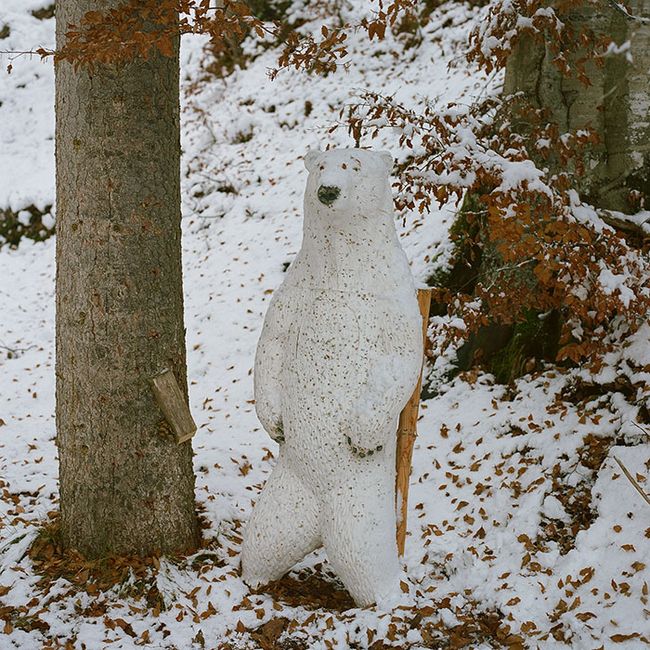 © Sofya Tatarinova - Image from the Magic forest photography project