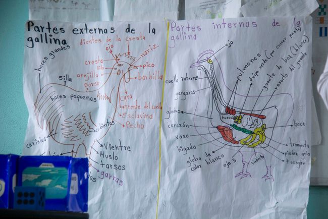 © kai ale - Image from the Educación en la Sierra Mazateca photography project