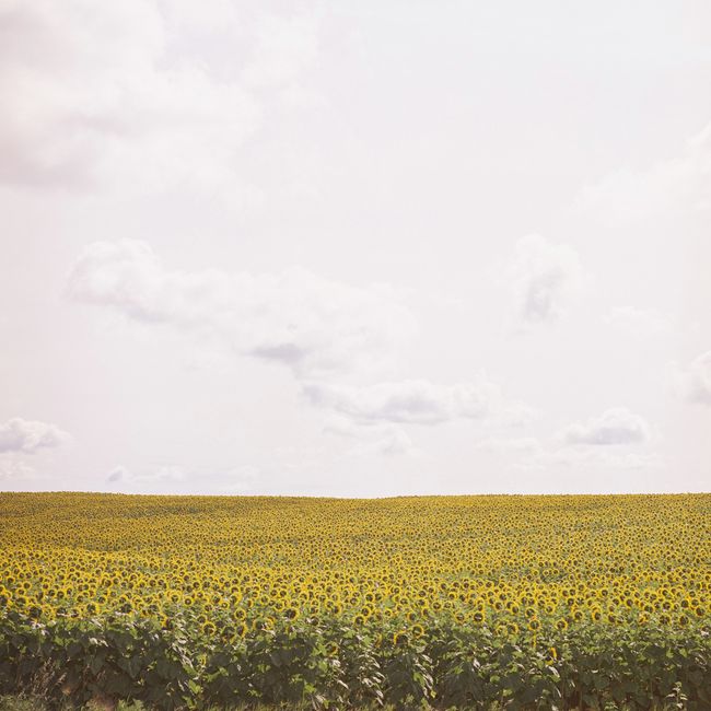 © Vassilis Triantis - Image from the Neutrinos photography project