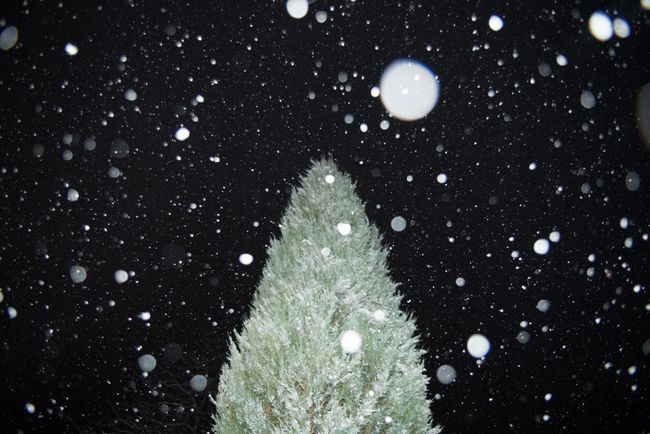 © Jana Plavec - Image from the Daymare photography project