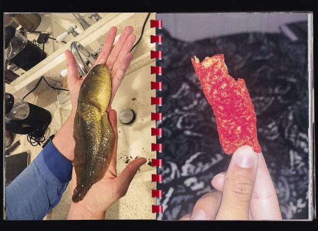 © Max Gavrich - Image from the Hand for Scale photography project