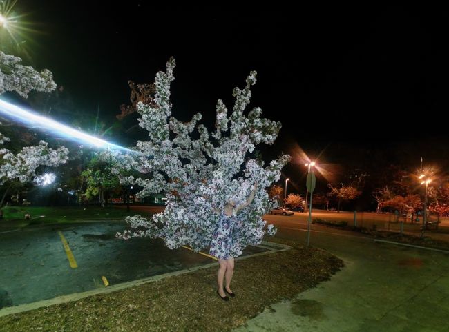 © Orejarena & Stein - Image from the American Glitch photography project