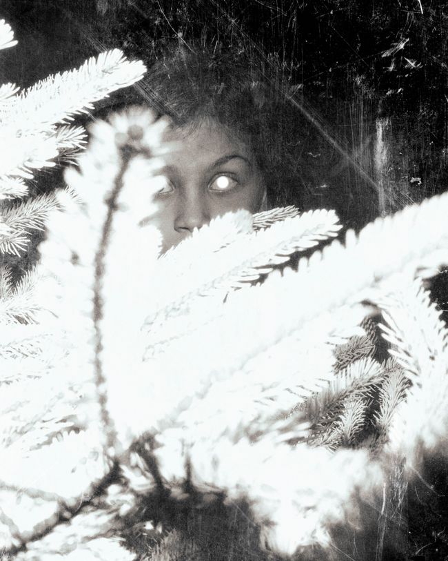 © Paul Thulin, from the book Pine Tree Ballads