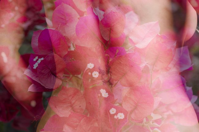 © Yinna Higuera - Image from the Roots and Skin photography project