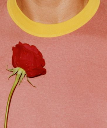 Eulogy Exhibition - Sander Coers