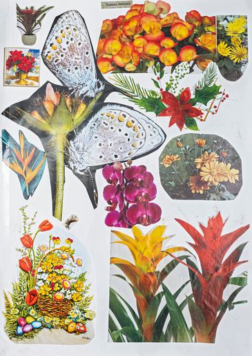 Mostra Six Stations and a Golden Tooth - Lucija Rosc