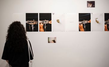 Anatomy of an Oyster Exhibition - Rita Puig-Serra