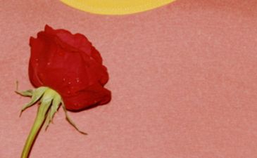 Eulogy Exhibition - Sander Coers